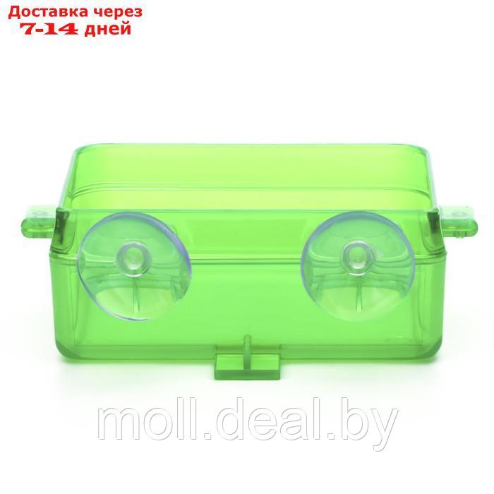 Кормушка NomoyPet для террариума на присосках, 10 х 4 х 7,5 см, зелёная - фото 3 - id-p226888116