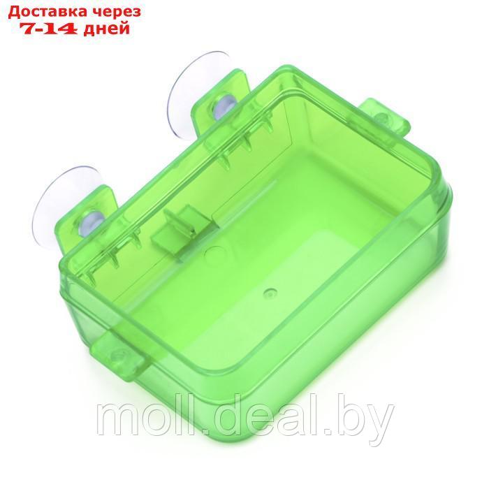 Кормушка NomoyPet для террариума на присосках, 10 х 4 х 7,5 см, зелёная - фото 4 - id-p226888116