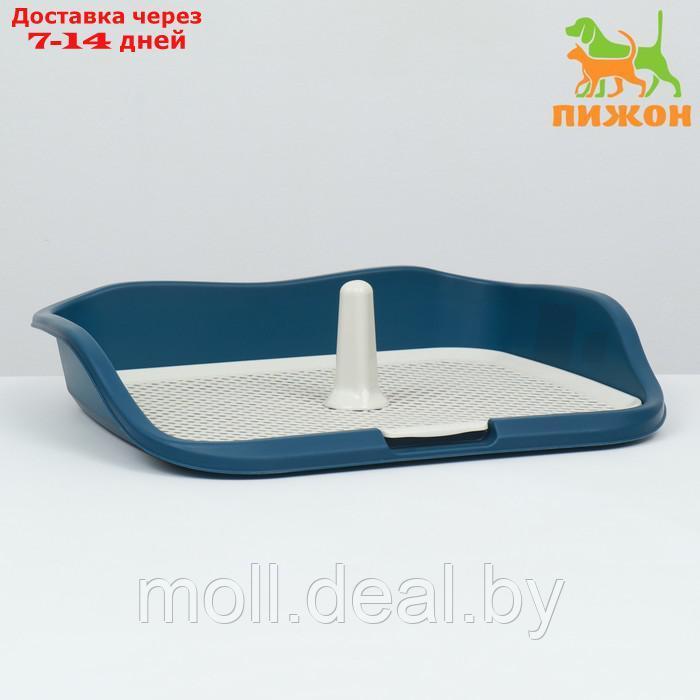Туалет для собак, 55 х 46 х 12 см, синий - фото 1 - id-p226888123