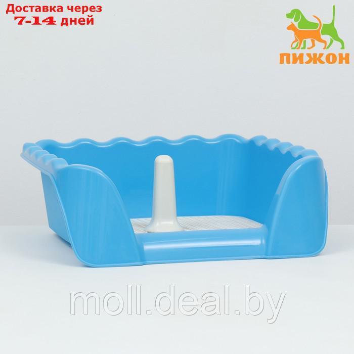 Туалет для собак с высокими бортами и съемной сеткой 43х43х15 см, голубой - фото 1 - id-p226888124