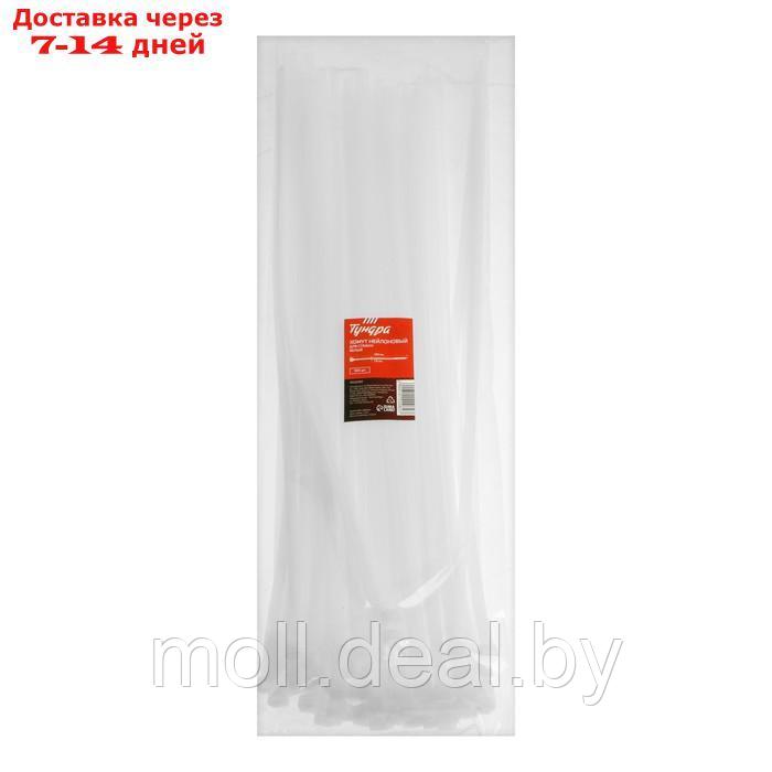 Хомут нейлоновый ТУНДРА krep для стяжки, 7.6*450 мм, белый, в упаковке 100 шт. - фото 2 - id-p226884276