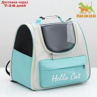 Рюкзак для переноски "Hello Cat", прозрачный, 32 х 21 х 35 см, белый
