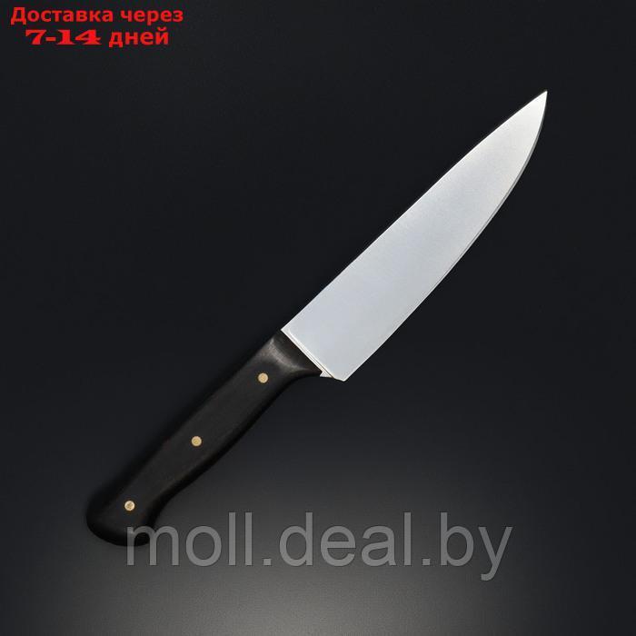 Нож кухонный универсальный Wild Kitchen, сталь 95×18, лезвие 15,5 см - фото 3 - id-p227076459