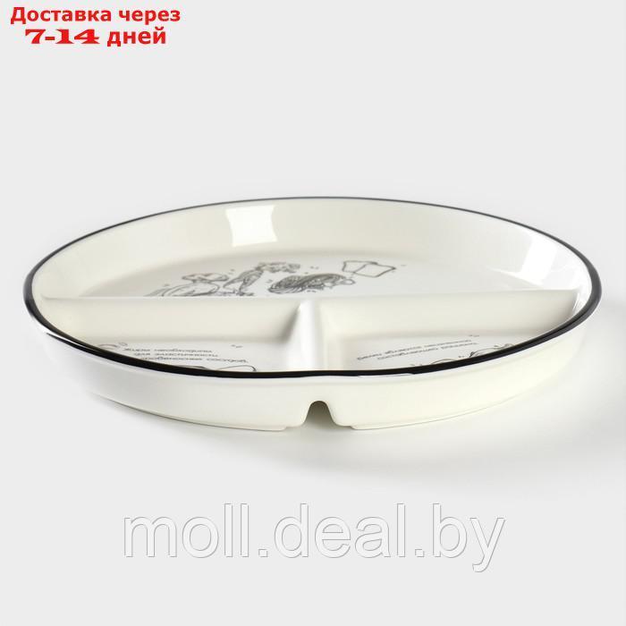 Тарелка фарфоровая для правильного питания Доляна, d=23 см - фото 4 - id-p227076469