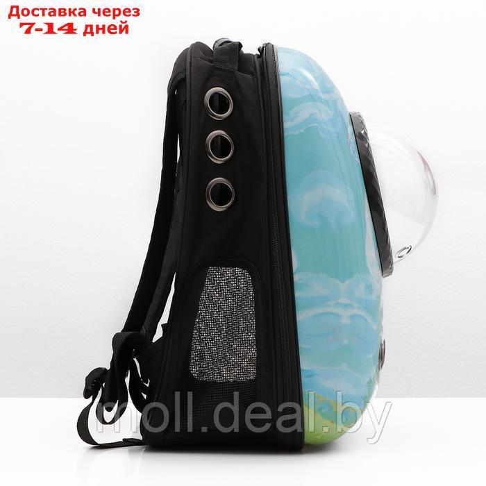 Рюкзак для переноски животных с окном для обзора "Поля", 32 х 25 х 42 см - фото 4 - id-p226888172