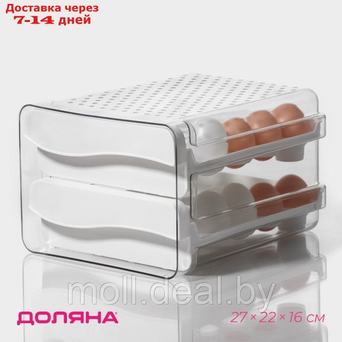 Контейнер для хранения яиц Доляна, 40 ячеек, 27×22×16 см, цвет белый
