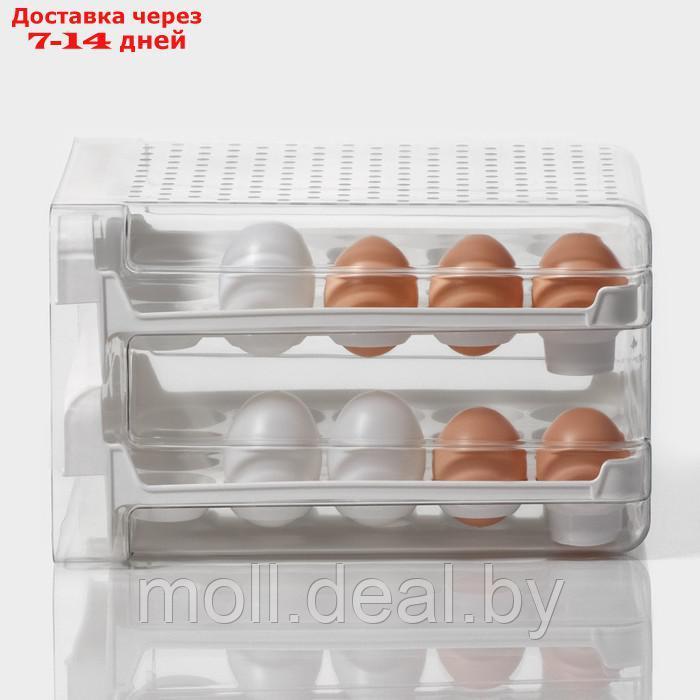 Контейнер для хранения яиц Доляна, 40 ячеек, 27×22×16 см, цвет белый - фото 6 - id-p227076474