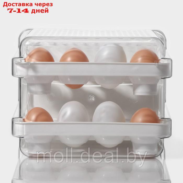 Контейнер для хранения яиц Доляна, 40 ячеек, 27×22×16 см, цвет белый - фото 8 - id-p227076474