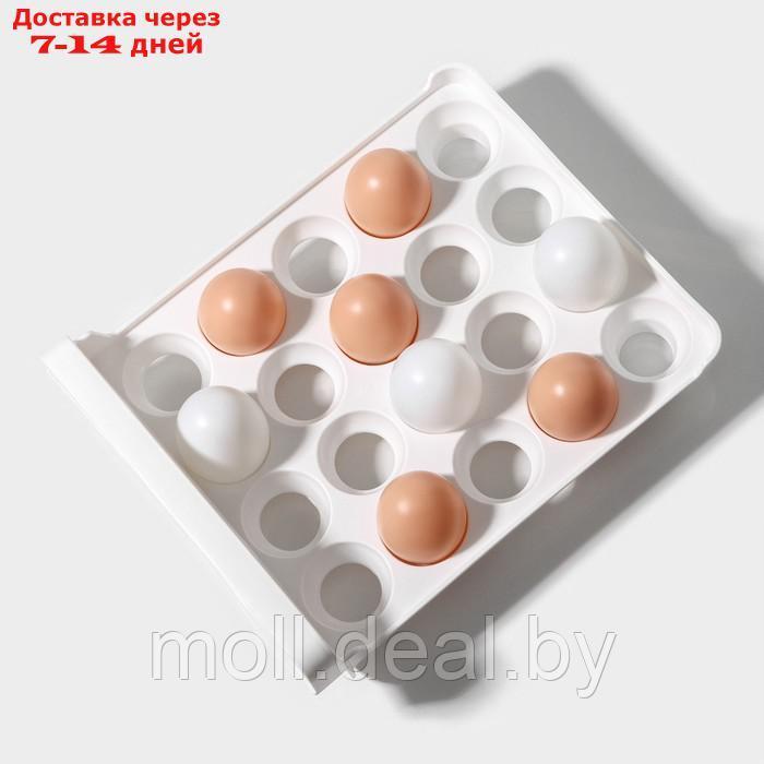 Контейнер для хранения яиц Доляна, 40 ячеек, 27×22×16 см, цвет белый - фото 10 - id-p227076474