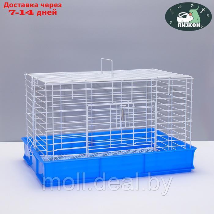 Клетка для кроликов RT-1, 62 х 42 х 39 см, синяя - фото 1 - id-p226888181