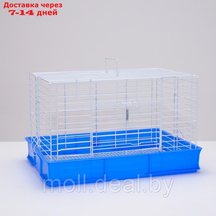 Клетка для кроликов RT-1, 62 х 42 х 39 см, синяя - фото 2 - id-p226888181