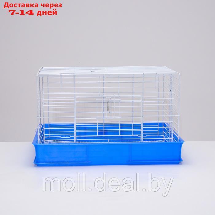 Клетка для кроликов RT-1, 62 х 42 х 39 см, синяя - фото 3 - id-p226888181