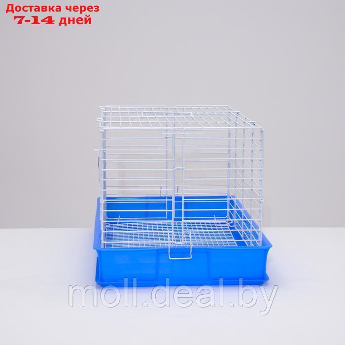 Клетка для кроликов RT-1, 62 х 42 х 39 см, синяя - фото 4 - id-p226888181