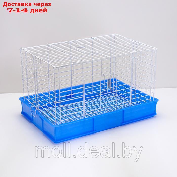 Клетка для кроликов RT-1, 62 х 42 х 39 см, синяя - фото 5 - id-p226888181