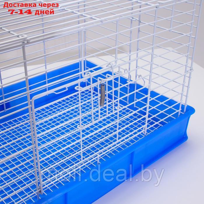 Клетка для кроликов RT-1, 62 х 42 х 39 см, синяя - фото 6 - id-p226888181