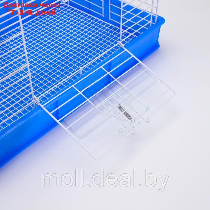 Клетка для кроликов RT-1, 62 х 42 х 39 см, синяя - фото 8 - id-p226888181