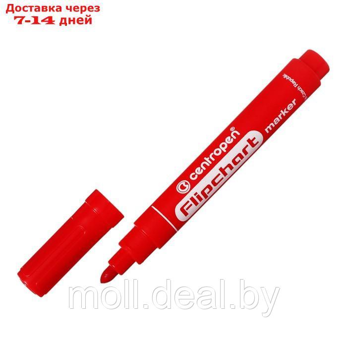 Набор маркеров для флипчарта 4цв 5.0 мм Centropen 8550, лин 2,5мм, пласт/уп, европодвес - фото 4 - id-p227079462