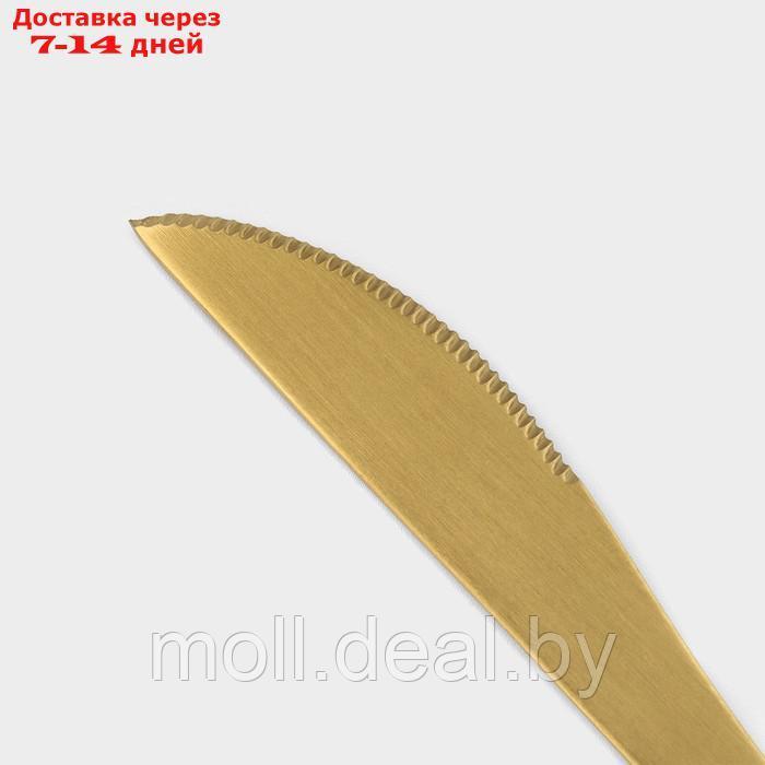 Набор ножей столовых из нержавеющей стали Magistro "Фолк", длина 22 см, 6 шт - фото 3 - id-p227076481