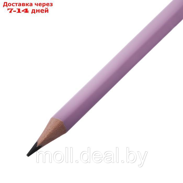 Набор чернографитных карандашей 12 штук HB ErichKrause "Pastel Bloom" дерево, трехгранных с ластиком - фото 3 - id-p227079466