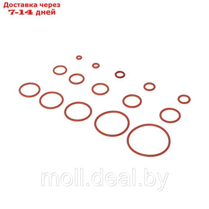 Уплотнительное кольцо, 15 видов, толщина 1,5 мм, набор 250 шт - фото 1 - id-p226890155