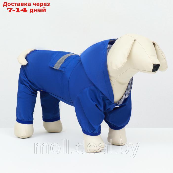 Комбинезон для собак, демисезонный с подкладом, размер L (ДС 32, Ог 48 см), синий - фото 1 - id-p226888207