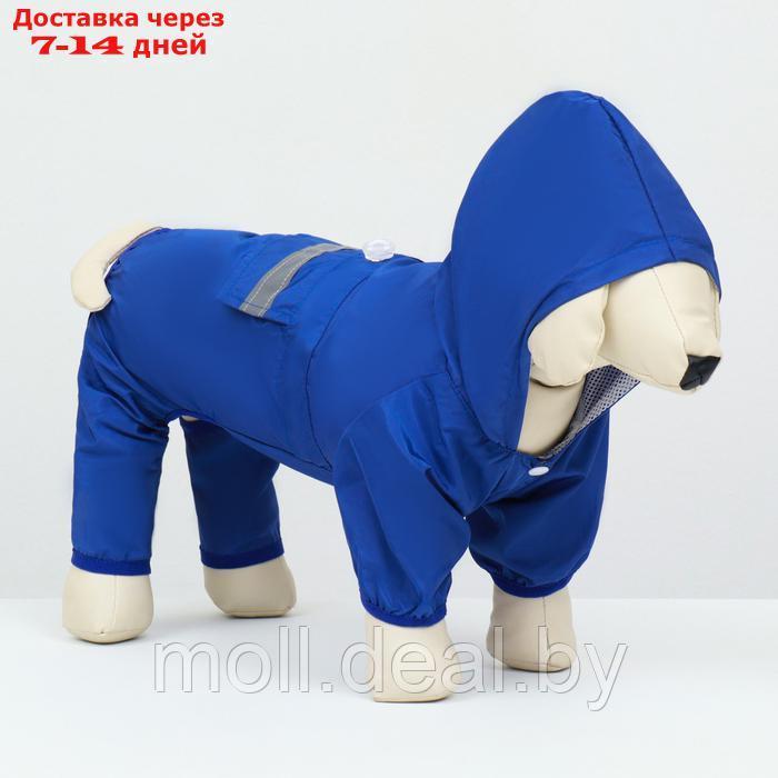 Комбинезон для собак, демисезонный с подкладом, размер L (ДС 32, Ог 48 см), синий - фото 3 - id-p226888207