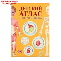 Детский атлас "Тело человека"