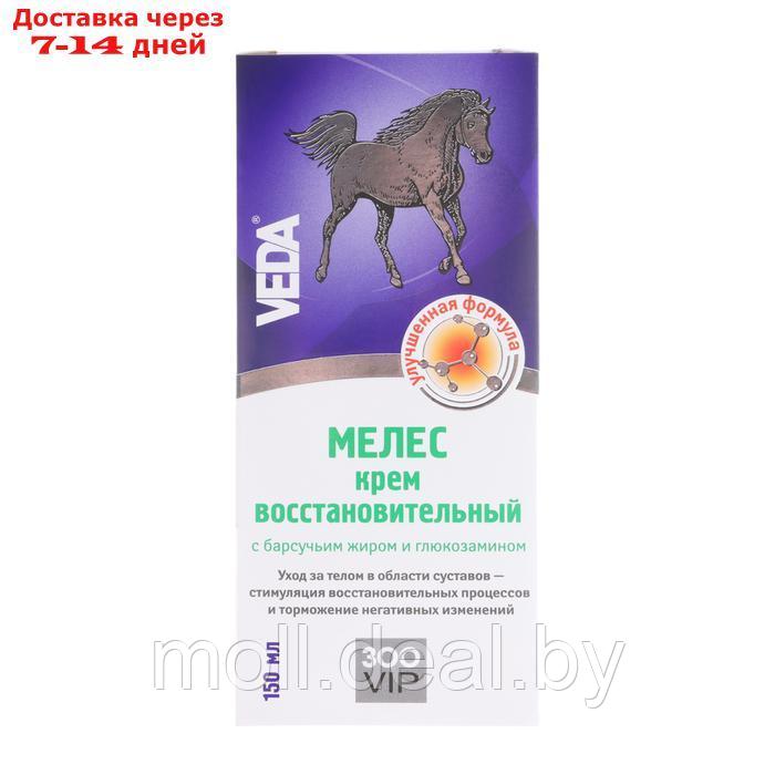 Крем для лошадей ЗООVIP VEDA Мелес восстановительный, 150 мл - фото 6 - id-p226884352