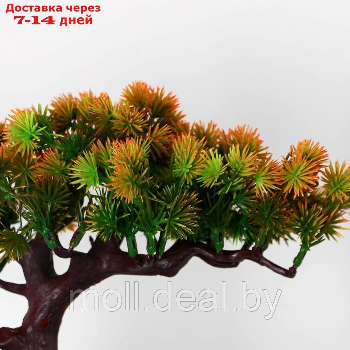Бонсай в горшке "Хвойное дерево" 10,5х18 см - фото 2 - id-p227087451