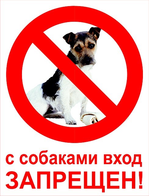 Табличка «C собаками вход запрещен» - минимальный заказ 3 шт. Цена указана за 1 шт.