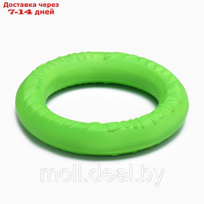 Кольцо "ДогЛайк" D-2614 , 8-мигранное, малое, 20 см, зеленое - фото 1 - id-p226888240