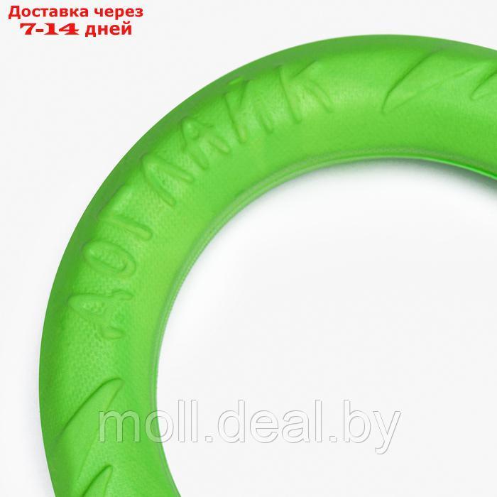 Кольцо "ДогЛайк" D-2614 , 8-мигранное, малое, 20 см, зеленое - фото 3 - id-p226888240