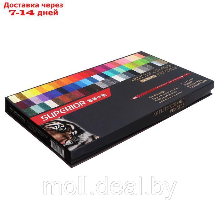 Карандаши масляные 72 цветов в картонной коробке OCP-72 - фото 2 - id-p227079523