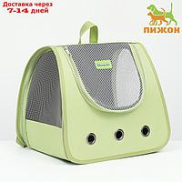 Рюкзак-переноска для животных, 35 х 30 х 26 см, зелёный
