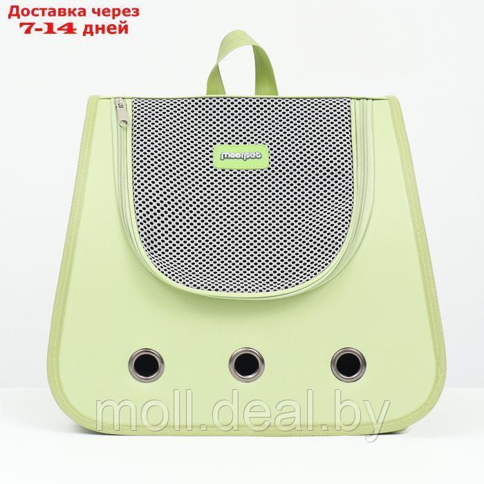 Рюкзак-переноска для животных, 35 х 30 х 26 см, зелёный - фото 3 - id-p226888256