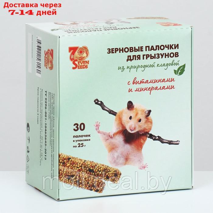 Набор палочки "SHOW BOX" для грызунов витаминами и минералами, коробка 30 шт, 720г - фото 1 - id-p227093486