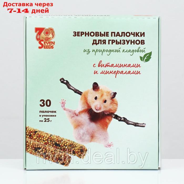 Набор палочки "SHOW BOX" для грызунов витаминами и минералами, коробка 30 шт, 720г - фото 2 - id-p227093486