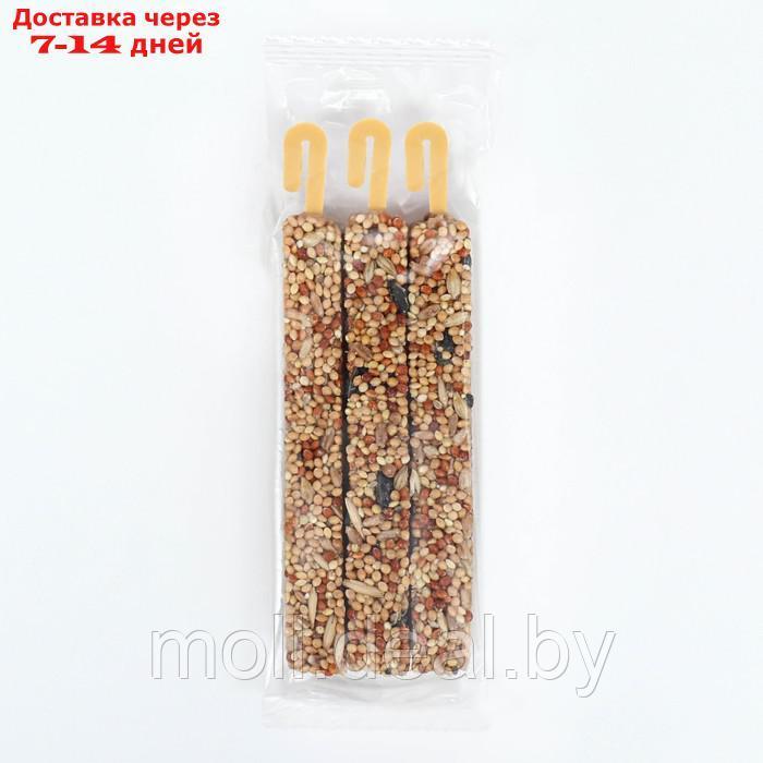 Набор палочки "SHOW BOX" для грызунов витаминами и минералами, коробка 30 шт, 720г - фото 4 - id-p227093486