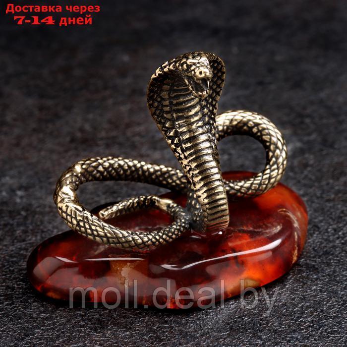 Сувенир "Змея Кобра", большая, латунь, янтарь - фото 1 - id-p227080530