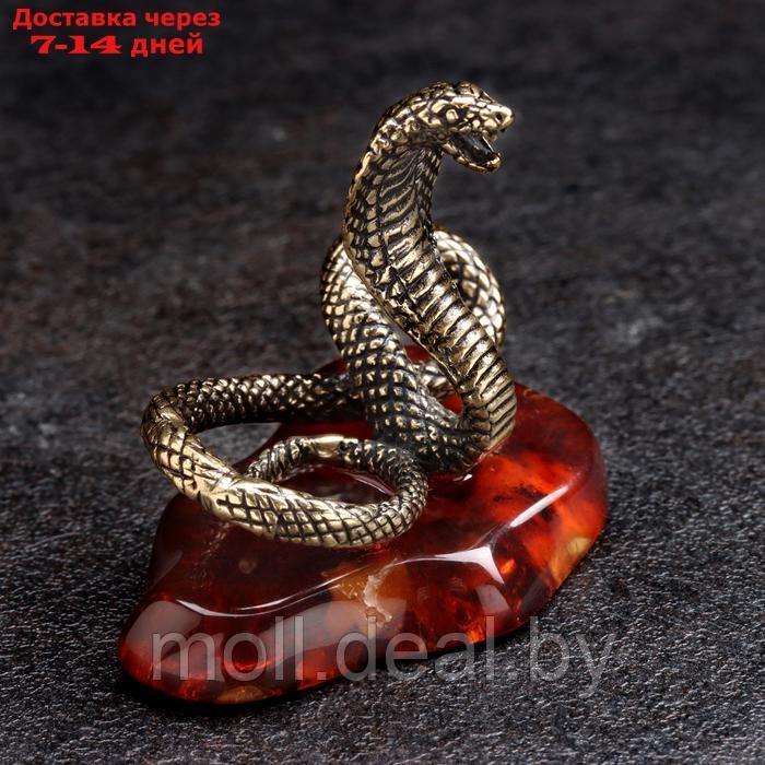 Сувенир "Змея Кобра", большая, латунь, янтарь - фото 3 - id-p227080530