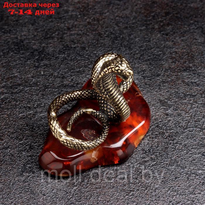 Сувенир "Змея Кобра", большая, латунь, янтарь - фото 4 - id-p227080530