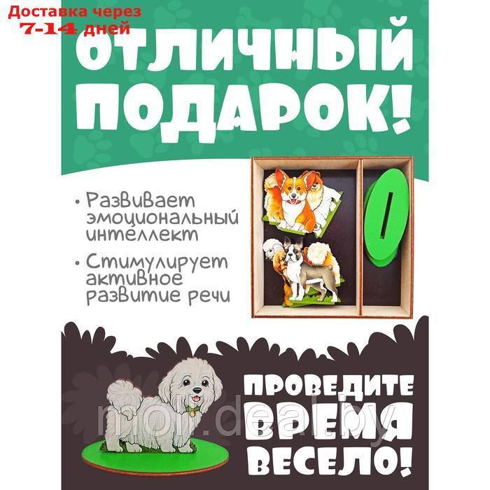 Игровой набор в коробке "Собаки декоративные" - фото 5 - id-p227085501