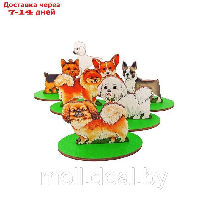 Игровой набор в коробке "Собаки декоративные" - фото 6 - id-p227085501