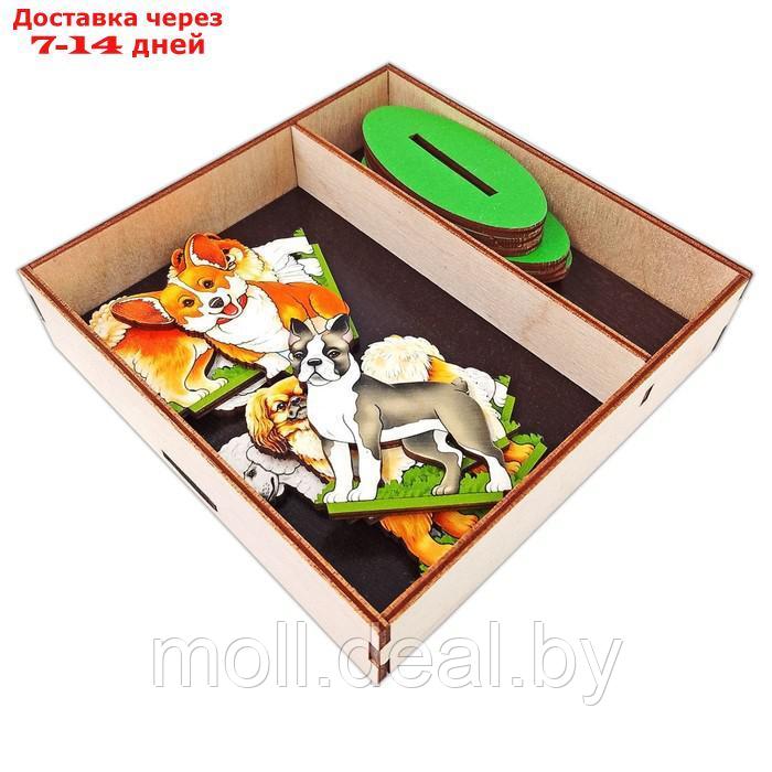 Игровой набор в коробке "Собаки декоративные" - фото 7 - id-p227085501