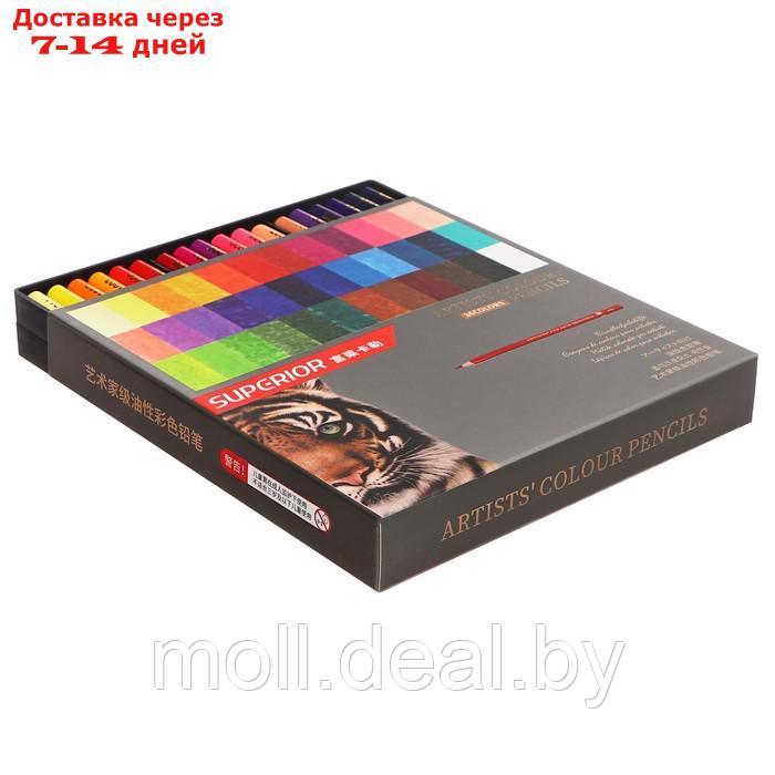 Карандаши масляные 36 цветов в картонной коробке OCP-36 - фото 2 - id-p227079546