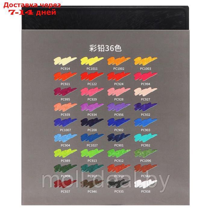 Карандаши масляные 36 цветов в картонной коробке OCP-36 - фото 5 - id-p227079546