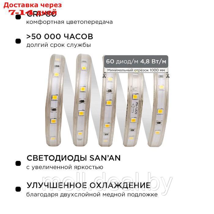 Комплект светодиодной подсветки 10-05, лента 220В, 4,8Вт/м, smd3528/2835, 60д/м, IP44, 300Лм/м, 5м, - фото 3 - id-p227094763