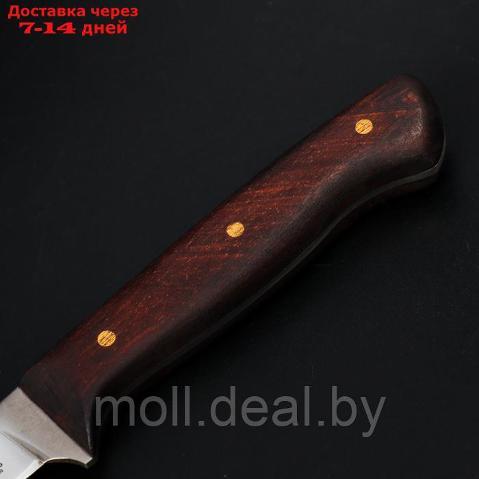 Нож кухонный филейный Wild Kitchen, сталь 95×18, лезвие 17 см - фото 6 - id-p227076572