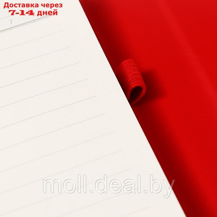 Органайзер на кольцах А6+, 80 листов, кожзам, c клапаном, линия, с ручкой, в подарочной коробке, красный - фото 8 - id-p227079553