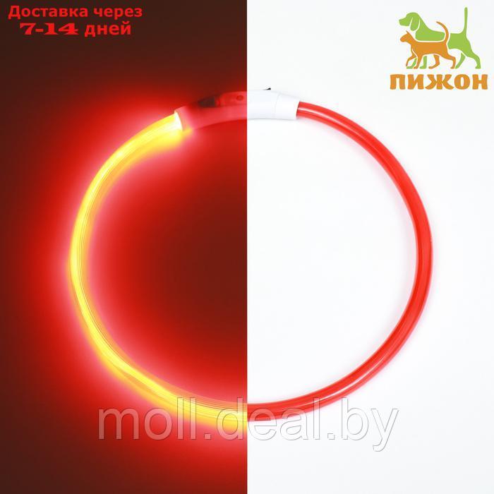 Ошейник - кольцо с подсветкой, зарядка от USB, до 70 см, 3 режима свечения, красный - фото 1 - id-p226888276